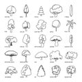 Tree types icons set, outline style