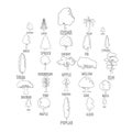 Tree types icons set, outline style
