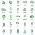 Tree types icons set vector color Royalty Free Stock Photo