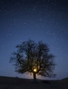 Tree under sky with stars and moon