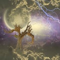 Tree under stars and clouds Royalty Free Stock Photo