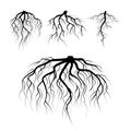 Tree Underground Roots Vector. Plant Underground Roots Set. Tree Root Black. illustration Of Plant Silhouette Root Royalty Free Stock Photo