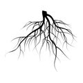Tree Underground Roots Vector Set. Illustration Isolated On White Background Royalty Free Stock Photo