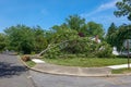 A tree uprooted during a storm lays across the sidewalk and lawn in front of a house