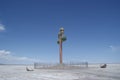 Tree of Utah, Great Salt Lake Desert