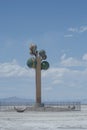 Tree of Utah, Great Salt Lake Desert