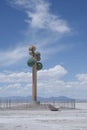 Tree of Utah, Great Salt Lake Desert