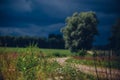 Tree in a valley in the countryside on a dark gloomy day Royalty Free Stock Photo