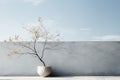 Tree in vase on concrete wall background. 3D Rendering