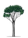 Tree vector by hand drawing Royalty Free Stock Photo