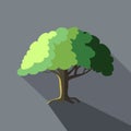 Tree vector illustration in flat design icon style with long shadows