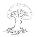Tree, vector illustration, isolate, stylized tree image, coloring