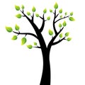 Tree vector