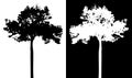 Tree vector silhouette