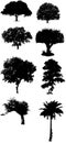 Tree silhouette vectors Royalty Free Stock Photo