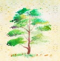 Tree , very elegantly drawn Royalty Free Stock Photo