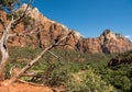 Kenyata trail view of Canyon in background at Zion National Park Royalty Free Stock Photo