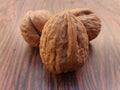 Tree walnuts Royalty Free Stock Photo