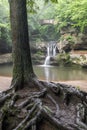 Tree and Waterfall in the Hocking Hills
