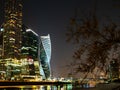 Tree and Moskva River near Moscow City at night Royalty Free Stock Photo