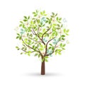 Tree on a white background. Minimal Style. Vector handwriting illustration