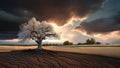 Tree with white leaves