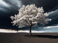 Tree with white leaves under a dark sky