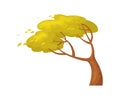 Tree in wind. Windy season in September, outdoor environmen, vector design