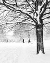 Tree in winter with children and snow