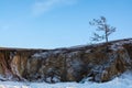 Tree in winter on cliff, landscape image