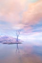 Tree on Wintry coastline