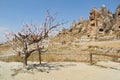 Tree Of Wishes with clay pots in Cappadocia. Goreme, Nevsehir Province, Cappadocia, Central Anatolia, Turkey Royalty Free Stock Photo