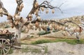 Tree Of Wishes with clay pots in Cappadocia. Royalty Free Stock Photo