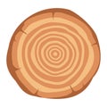 Tree wood annular ring