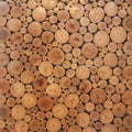 Tree wood brown circle stumps