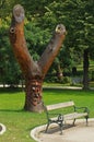 Tree with wood carving of a face