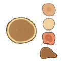 Tree wood trunk slice texture circle cut wooden raw material vector detail plant years history textured rough forest