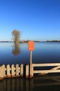 Tree and wooden gate in the flooded river ijssel