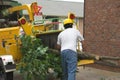 Tree worker feeding chipper