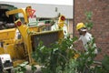 Tree Workers Running Chipper