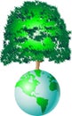 Tree of world