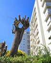 Tree in the yard of a residential building after incorrect drastic pruning