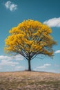 A tree with yellow flowers on a hill under the sky