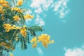 Tree with yellow flowers under blue sky, ideal for nature backgrounds Royalty Free Stock Photo
