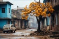 a tree with yellow leaves Royalty Free Stock Photo