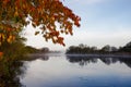 Tree with yellow and orange leaf over blue calm river. Fog in the background. Autumn fall season. River Corrib, Galway, Ireland. Royalty Free Stock Photo