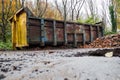 Big size metal skip in a park for fallen leaf and rubbish removal. Heavy industrial container to collect debris from a forest park Royalty Free Stock Photo