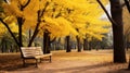 tree yellow vibrant park wooden
