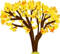Tree with yellowed leaves