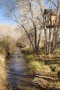 Treehouse above stream